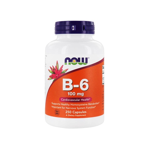 Now      Vitamina B-6 100mg
